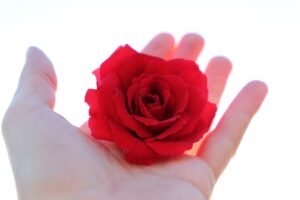 転職先の残業多い職場を見極めるポイントは？