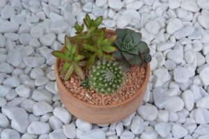 営業が辛いときはどうするべきか？