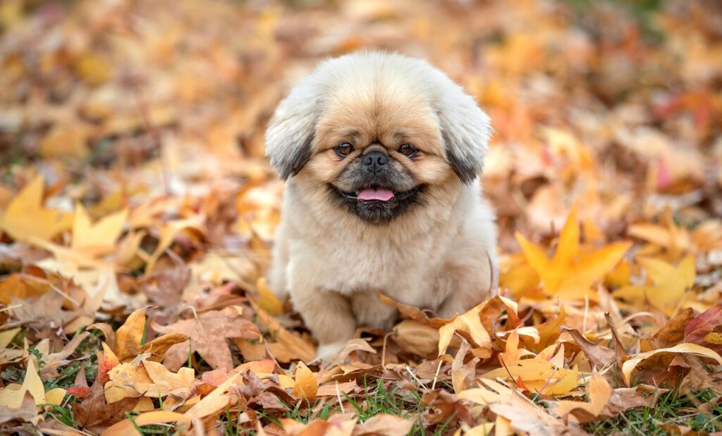 営業を辞めたいと感じるストレスの解消法は？