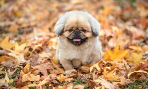 営業を辞めたいと感じるストレスの解消法は？