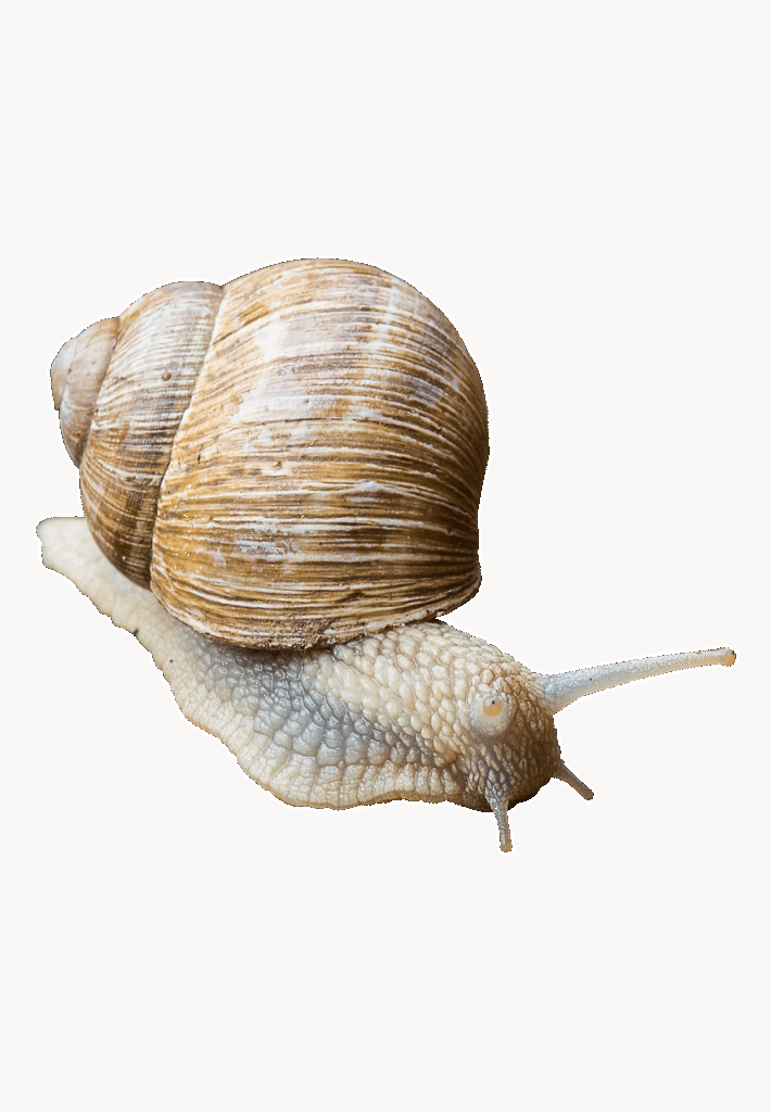 営業職で孤立感を感じてつらいあなたが転職を考えるべき理由は？