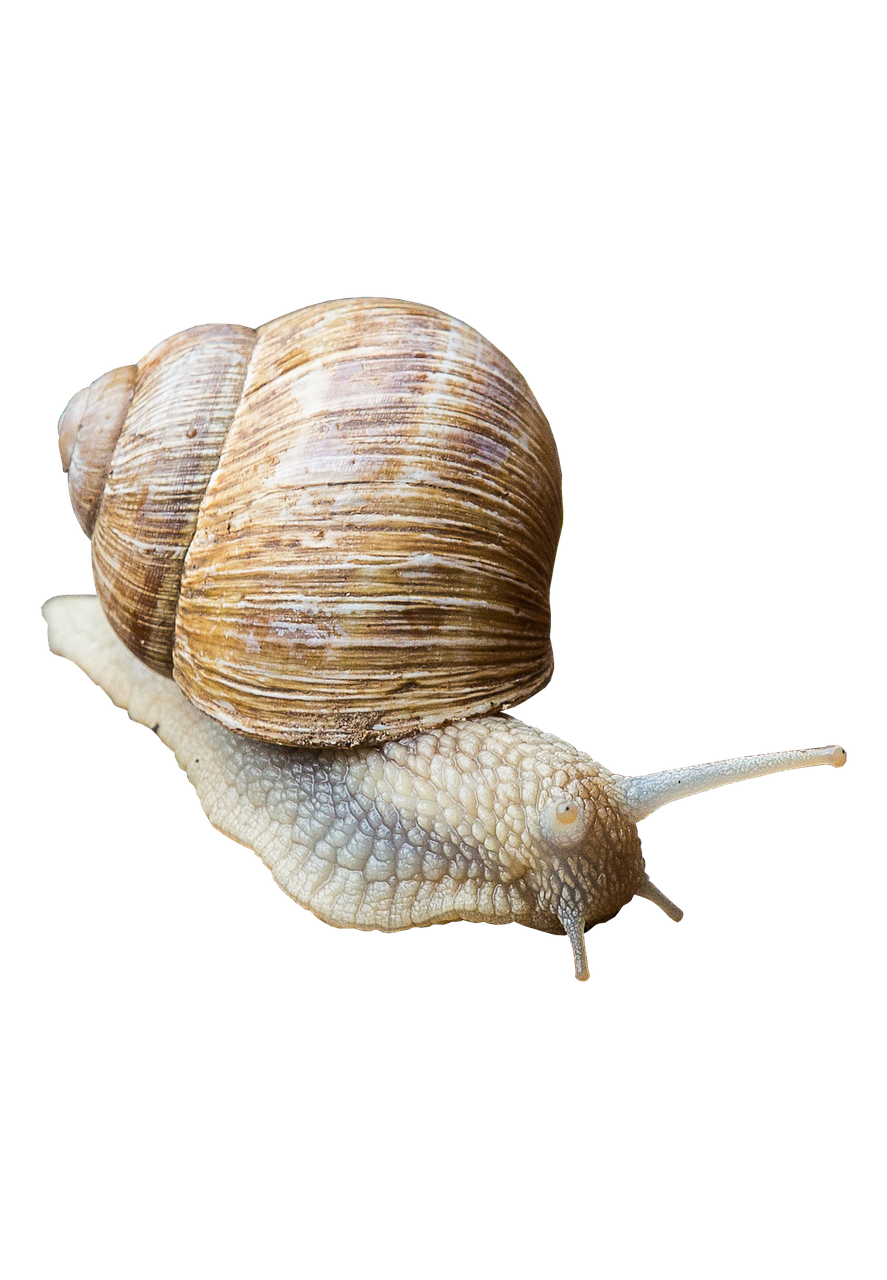 営業職で孤立感を感じてつらいあなたが転職を考えるべき理由は？