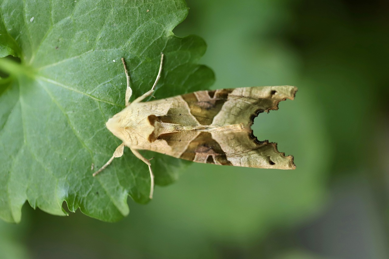 営業転職で重視すべき条件とはどのような項目か？