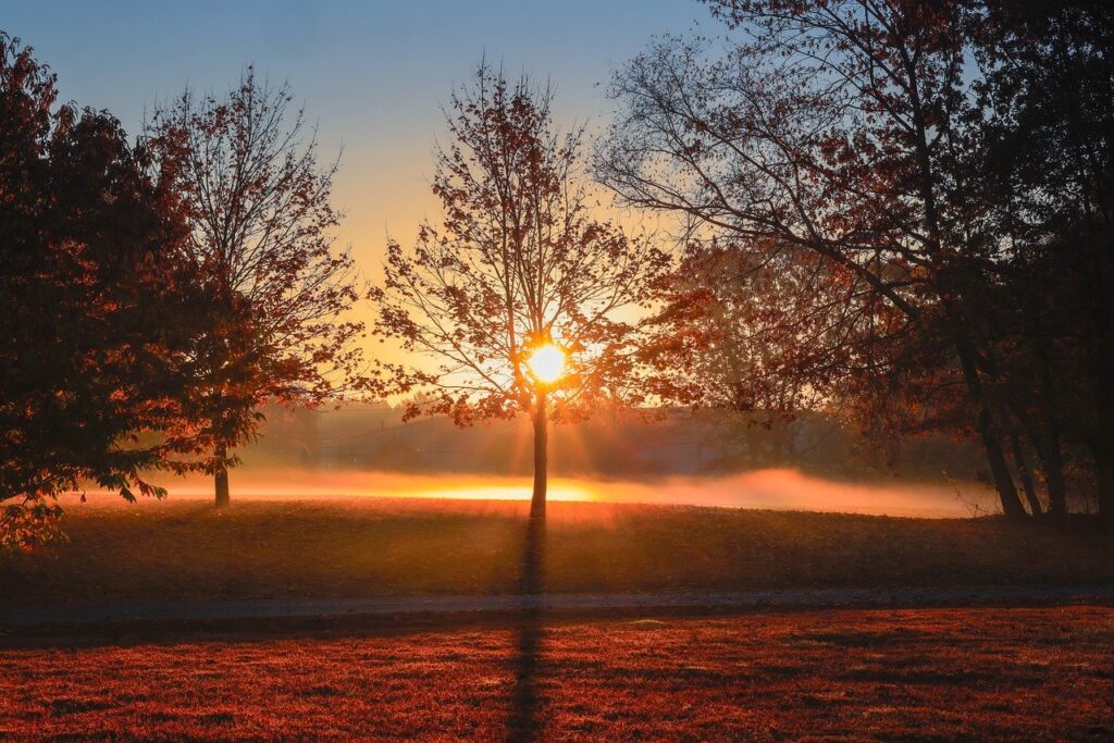 営業の自己評価が低下した時、辞めたいと思ったらどうすればいい？