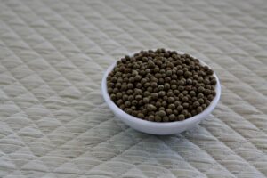 営業が苦手でも続けたくない理由とは？