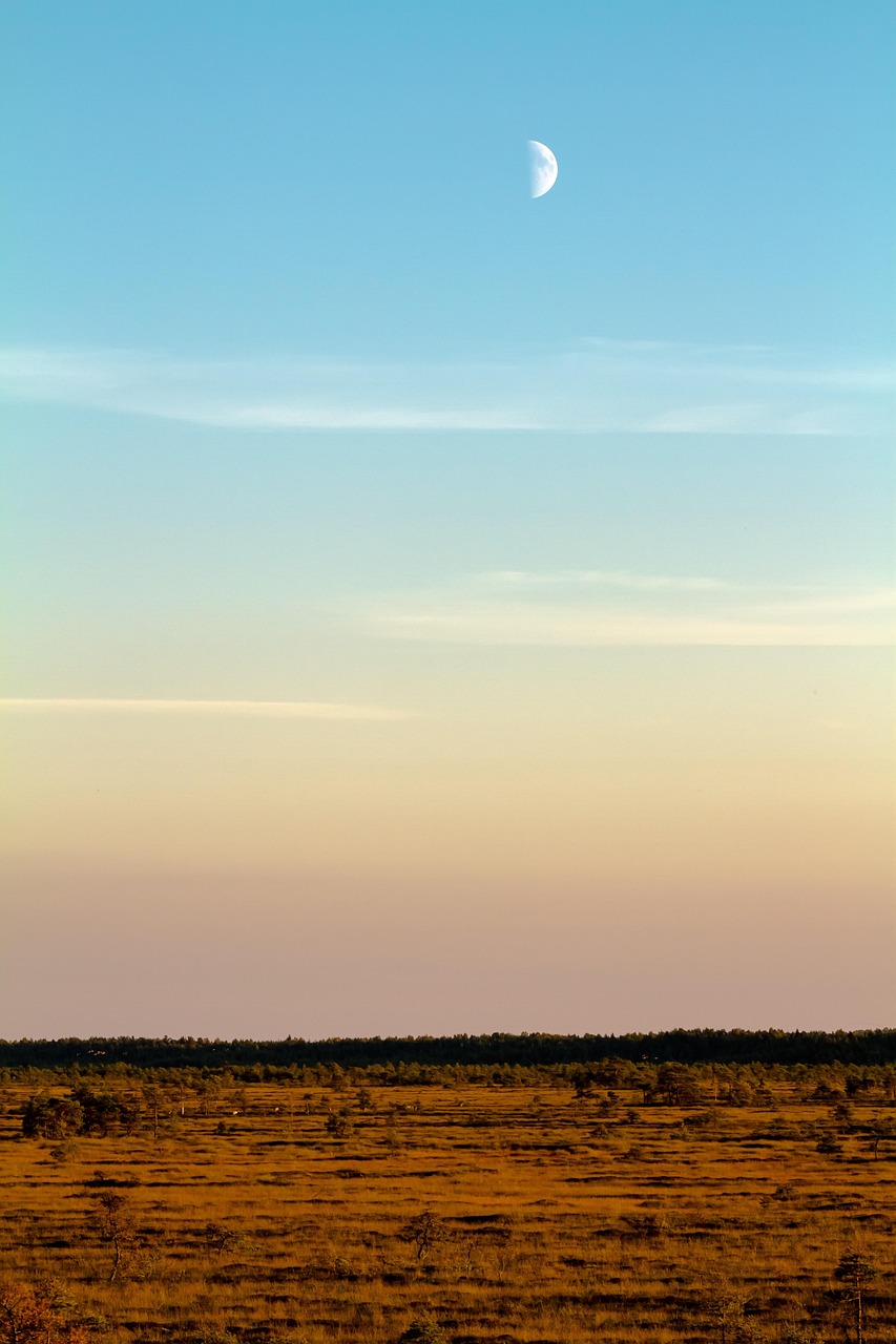 営業で夜遅く帰宅することが精神的負荷になる理由は？