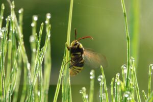 20代の転職準備は何から始めるべき？