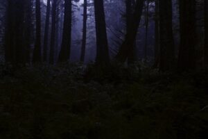 営業の上司が怖いと感じた時に辞めたいと思う理由は？