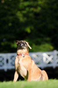 転職がうまくいかない営業の原因とは？